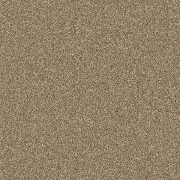 Dark Taupe Zenith Twist Carpet by Cormar