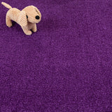 Deep Purple Oxford Twist Carpet