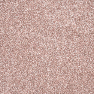 Delicioso 60 Ignis Carpet Clearance