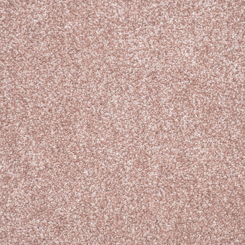 Delicioso 60 Ignis Carpet Clearance