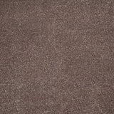 Den 45 Sirius 70oz Invictus Carpet