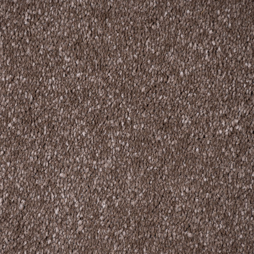 Den 45 Sirius 70oz Invictus Carpet