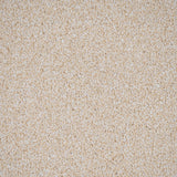 Devon Cream Inglewood Saxony Carpet by Cormar