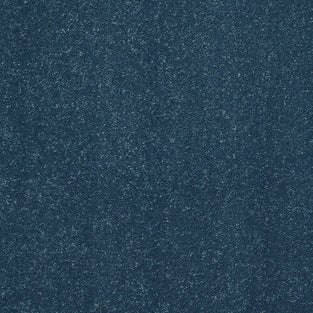 Dock Blue 15 Stainfree Pure Elegance Carpet by Abingdon