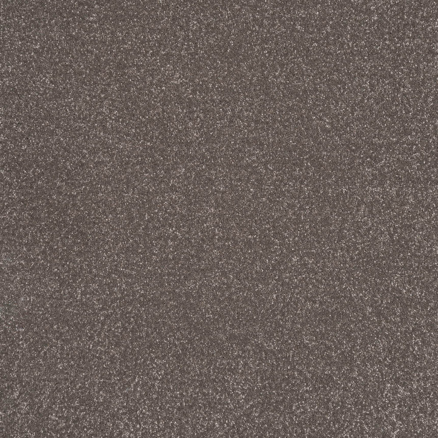 Stainfree Ultra Carpet by Abingdon