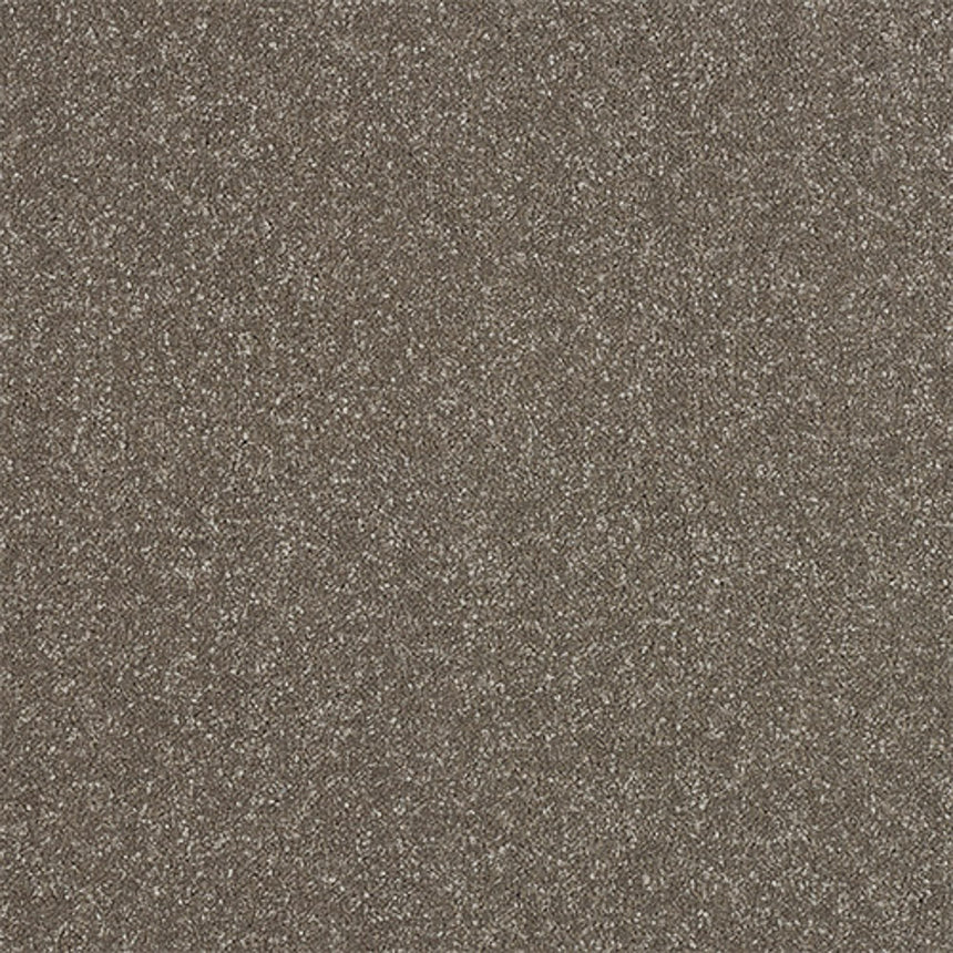 Stainfree Ultra Carpet by Abingdon