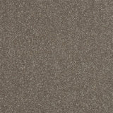 Stainfree Ultra Carpet by Abingdon