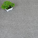 Dove Grey Polaris Luxury Saxony Carpet