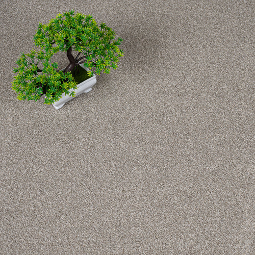 Driftwood Rustique Ultra Carpet by Abingdon