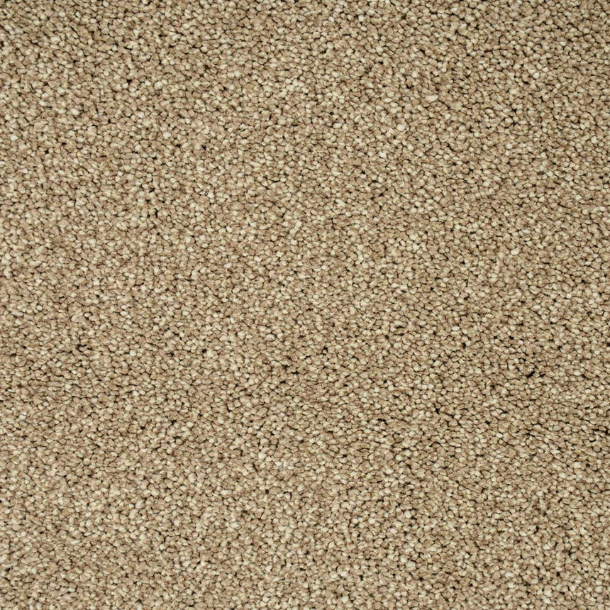 Dunmore Creek Sensation Heathers 60oz Carpet 4.11m x 5m Remnant