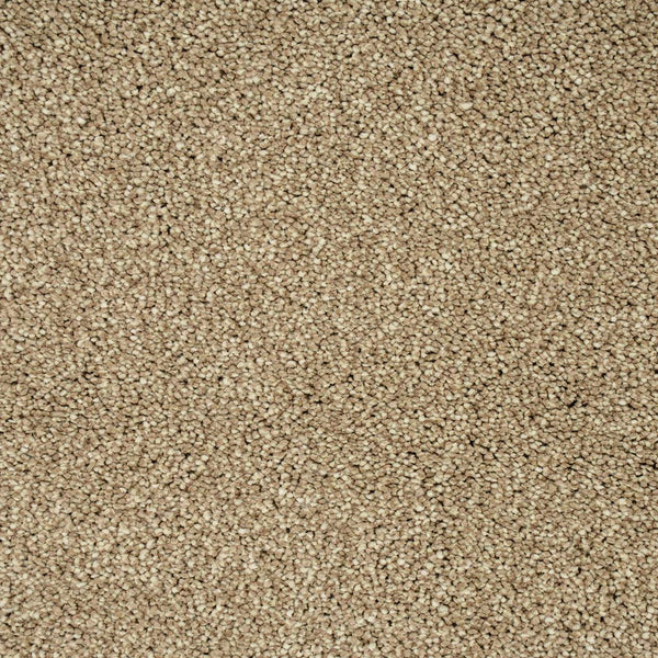 Dunmore Creek Sensation Heathers 60oz Carpet 4.11m x 5m Remnant