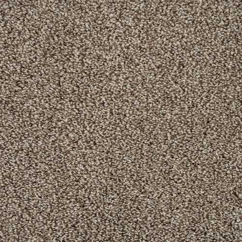 Dusky Brown Soft Hawaii Saxony Carpet 5.18m x 5m Remnant