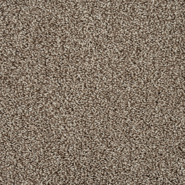 Dusky Brown Soft Hawaii Saxony Carpet 5.18m x 5m Remnant