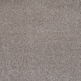 Earth Tone 49 Serenity iSense Carpet