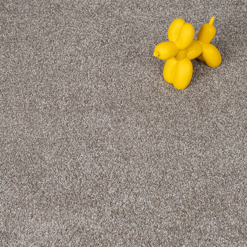 Earth Tone 49 Serenity iSense Carpet