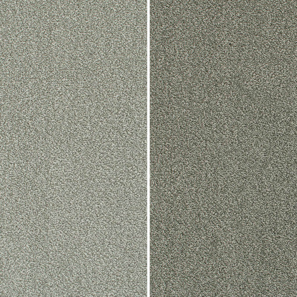 Emotion Elite Intenza Carpet Clearance