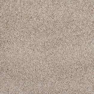 Fawn Caspian Saxony Carpet