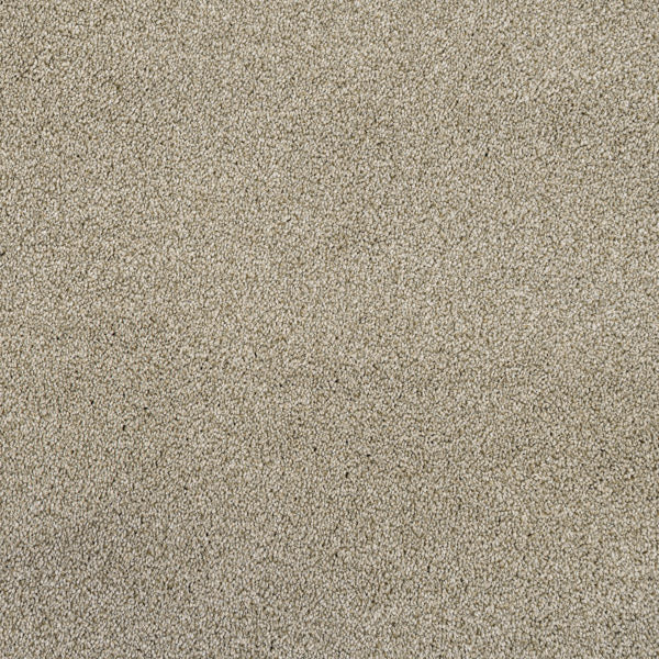 Cassius 70oz Heathers Invictus Carpet