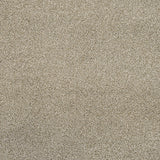 Cassius 70oz Heathers Invictus Carpet