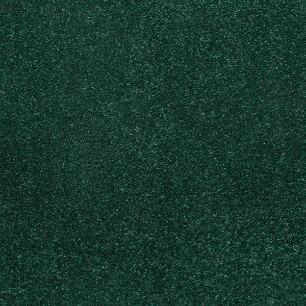 Fir Green Stainfree Caress Carpet by Abingdon