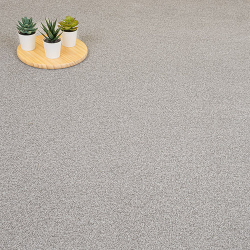 Fog Grey Quebec Twist Carpet