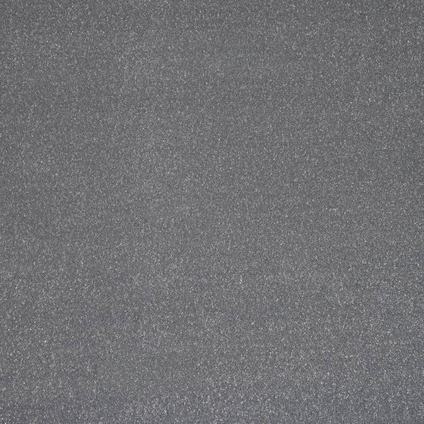 Frosted Steel 02 Stainfree Pure Elegance Carpet by Abingdon