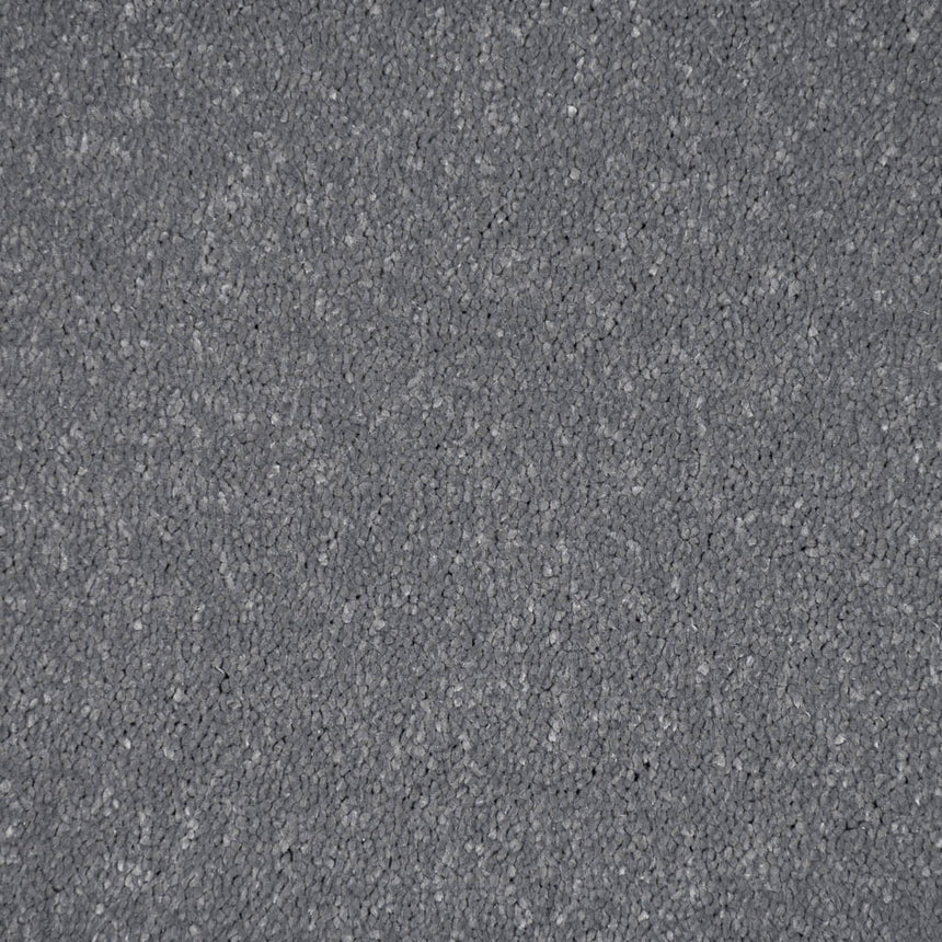 Frosted Steel 02 Stainfree Pure Elegance Carpet by Abingdon