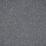 Frosted Steel 02 Stainfree Pure Elegance Carpet by Abingdon