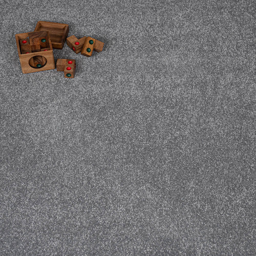 Frosted Steel 02 Stainfree Pure Elegance Carpet by Abingdon