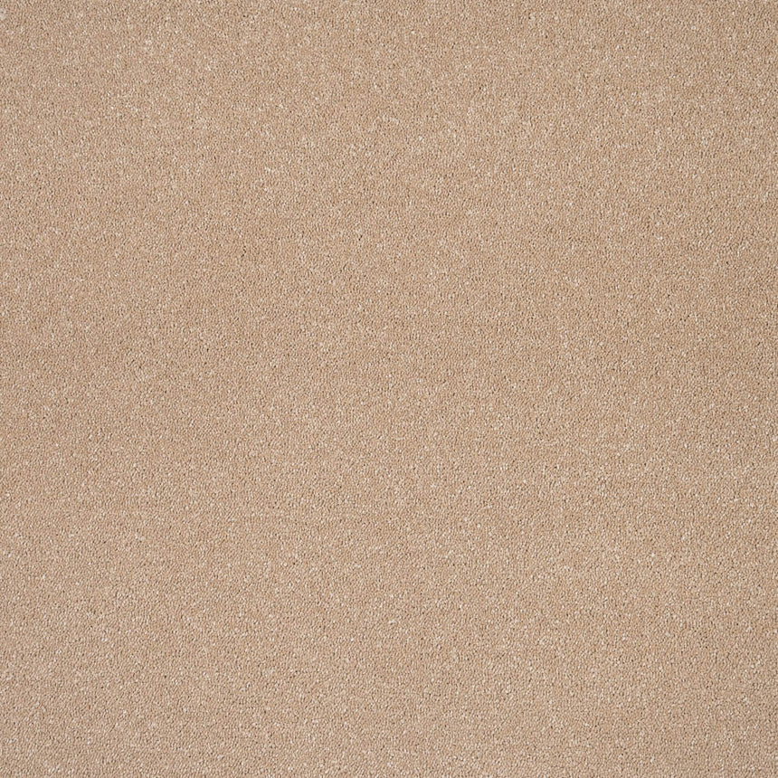 Gazelle Sensation Original 60oz Carpet by Cormar