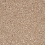 Gazelle Sensation Original 60oz Carpet by Cormar