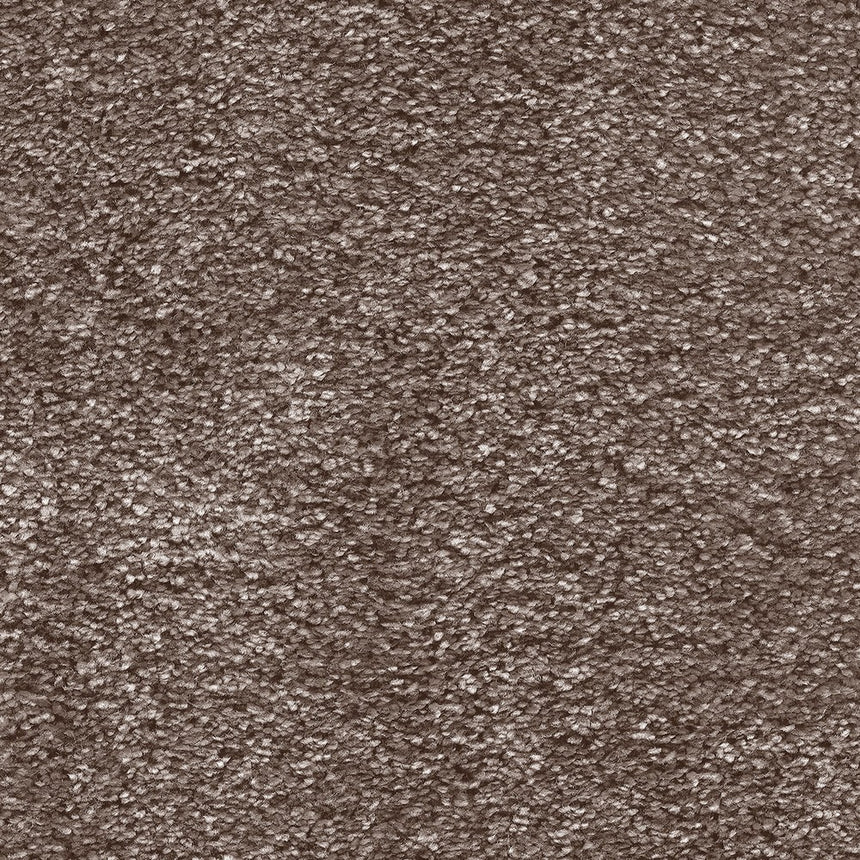 Spiritus Carpet Clearance