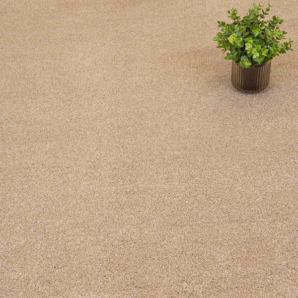 Golden Honey 35 Cassius 70oz Invictus Carpet | AW | Online Carpets