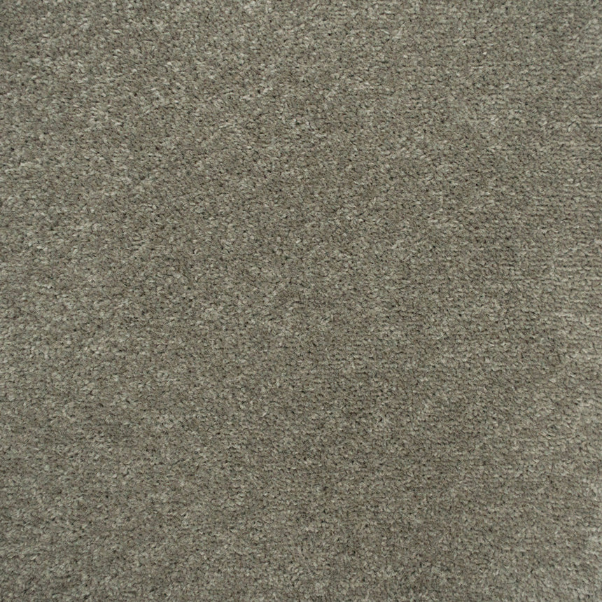 Belton Feltback Twist Carpet Clearance