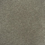 Belton Feltback Twist Carpet Clearance