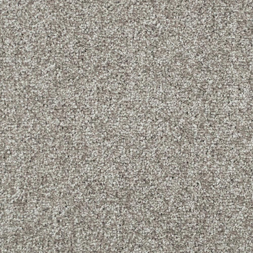 Grey Chalk 94 Tuftex Twist Carpet Clearance