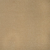 Hampton Stainfree Ultra Carpet by Abingdon