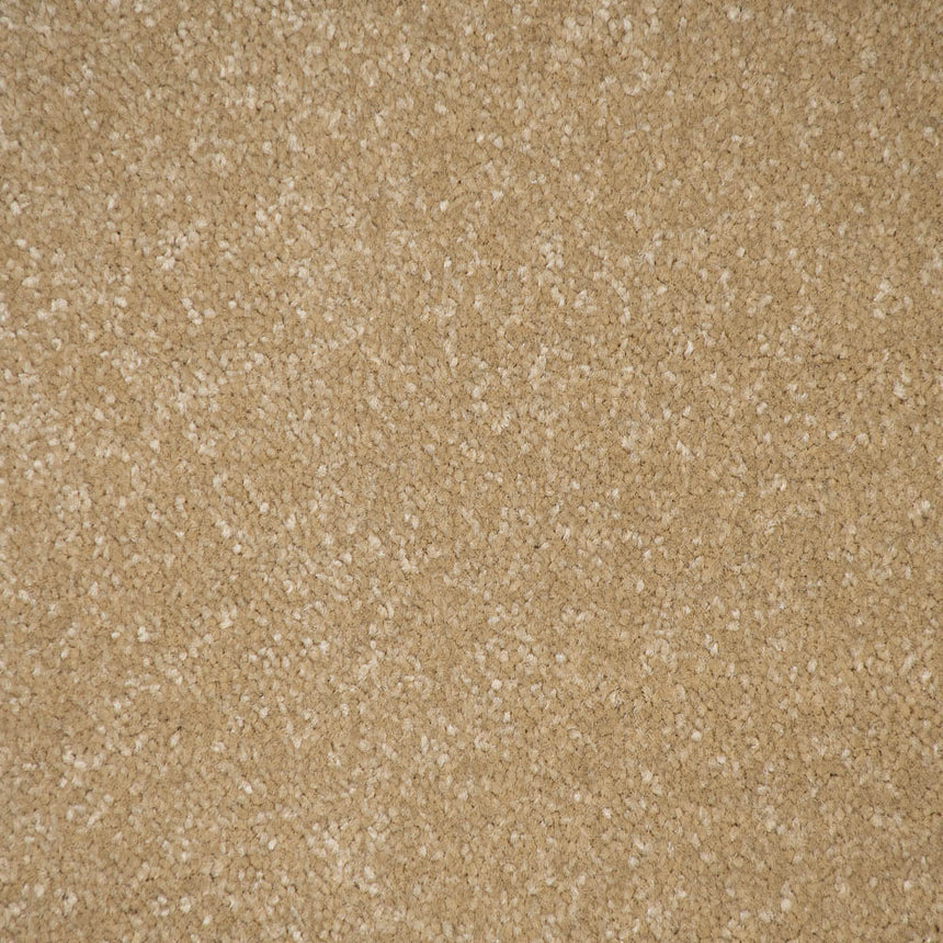 Hampton Stainfree Ultra Carpet by Abingdon