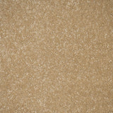 Hampton Stainfree Ultra Carpet by Abingdon