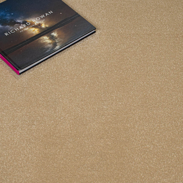 Hampton Stainfree Ultra Carpet by Abingdon