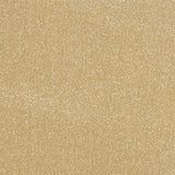 Stainfree Ultra Carpet by Abingdon