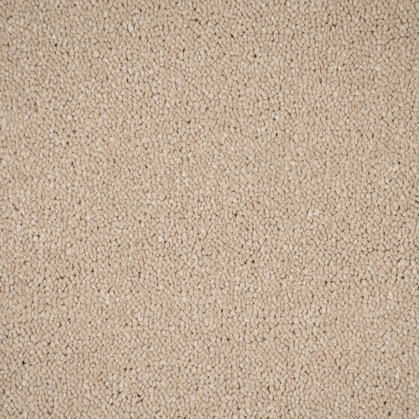 Honey Beige Bellevue Saxony Carpet