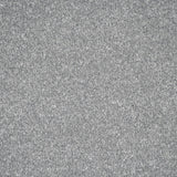 Ice Dance Stainfree Ultra Carpet by Abingdon