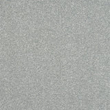 Stainfree Ultra Carpet by Abingdon