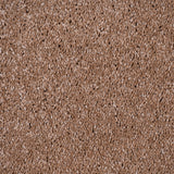 Indian Summer 42 Sirius 70oz Invictus Carpet