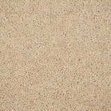 Ivory Cream Riverside Twist 60oz Carpet