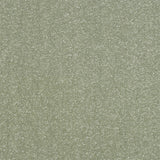 Stainfree Ultra Carpet by Abingdon