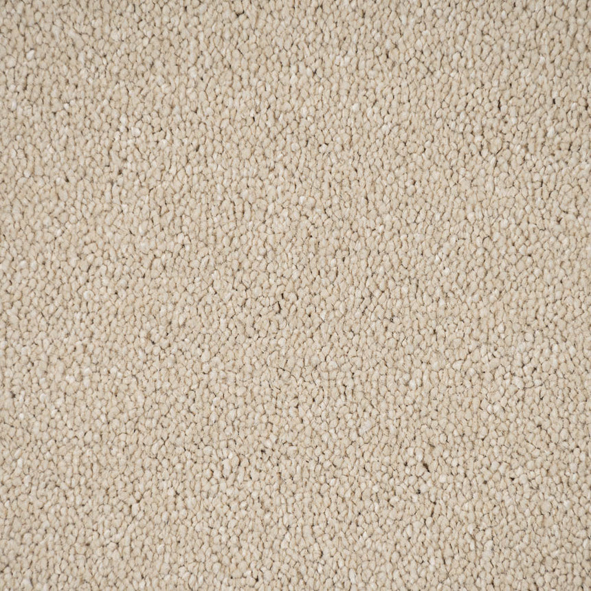 Laguna Sensation Original 60oz Carpet by Cormar