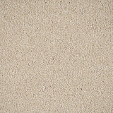 Laguna Sensation Original 60oz Carpet by Cormar