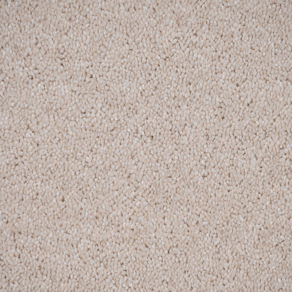 Latte 36 Sirius 70oz Invictus Carpet